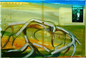 Idea of North - Visual Variations